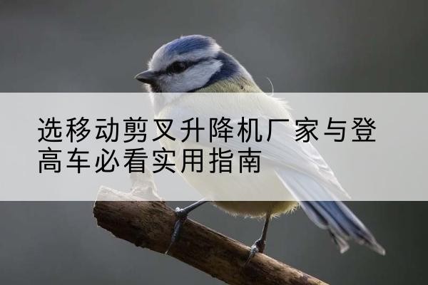扎赉特旗电动升降机厂家-选移动剪叉升降机厂家与登高车必看实用指南