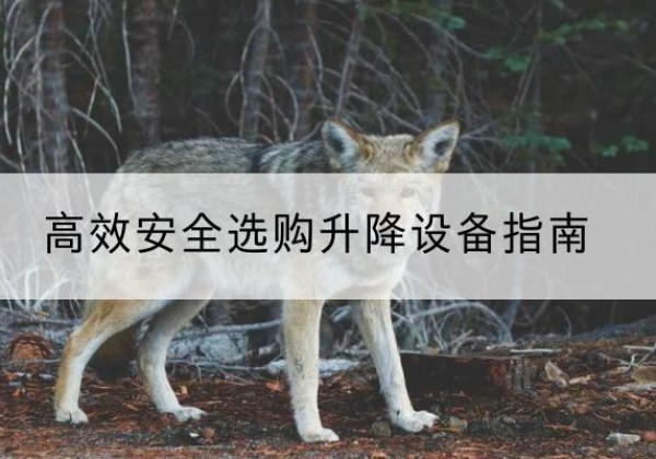 扎赉特旗升降货梯厂家推荐-*安全选购升降设备指南