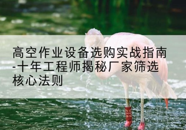 扎赉特旗剪叉式升降机厂家-高空作业设备选购实战指南-十年工程师揭秘厂家筛选核心法则